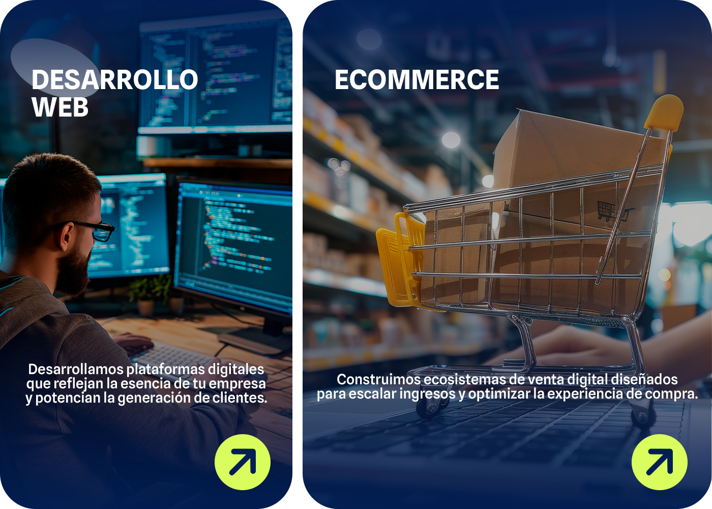 Servicios de desarrollo web y ecommerce
